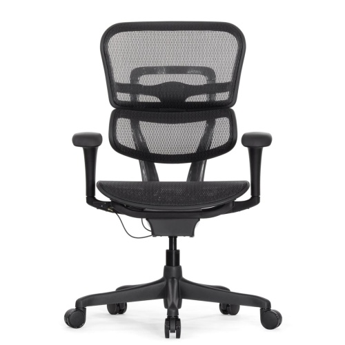 Ортопедическое кресло Falto Ergohuman 2 Project